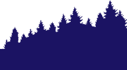 Why Real Wood? Find out now.