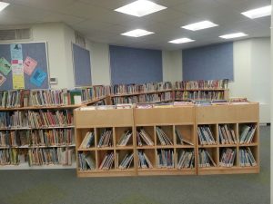 accessorie book browser.1